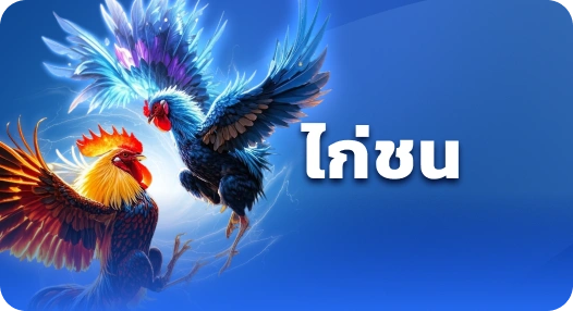 Cockfight